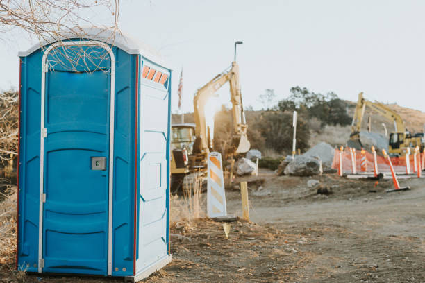 Best Sanitation services for porta potties  in Tinley Park, IL